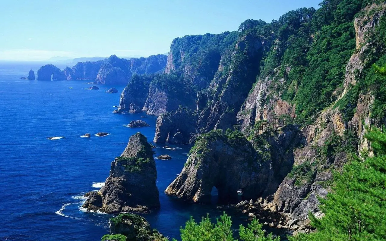 高效全自动独特